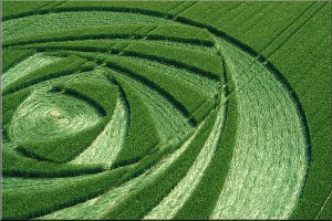 Wiltshire